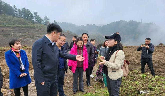 江口县朱雨担任新职务，成为引领发展的先锋典范