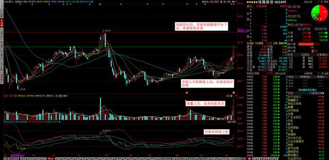 股票代码002495最新消息深度解析