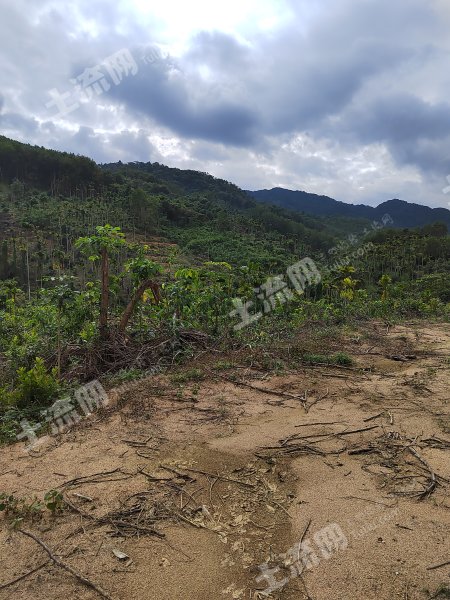 万宁市土地新动向，黄金机遇的投资与发展选择