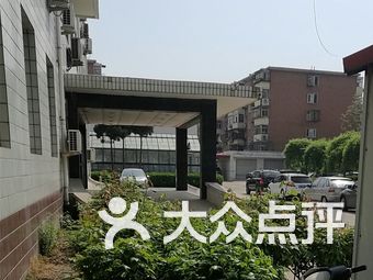 天津科润黄瓜新品种，引领农业科技创新风潮