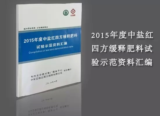 中盐红四方最新价格动态与市场走势分析