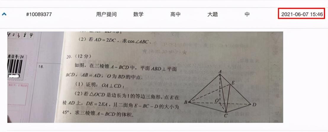 2024年11月10日 第31页