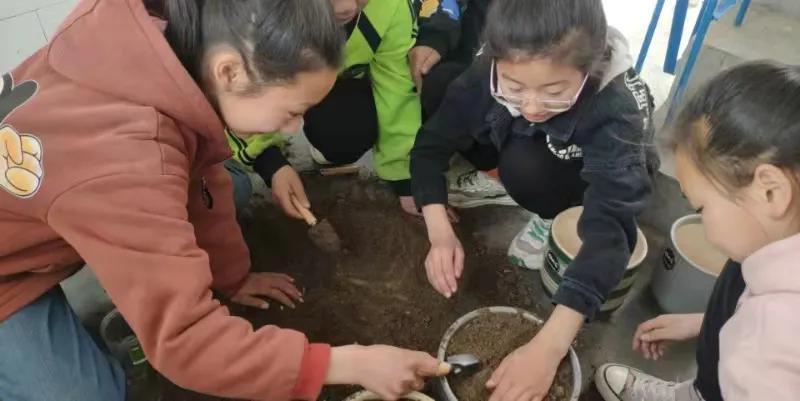 通州杨庄小学最新动态报道