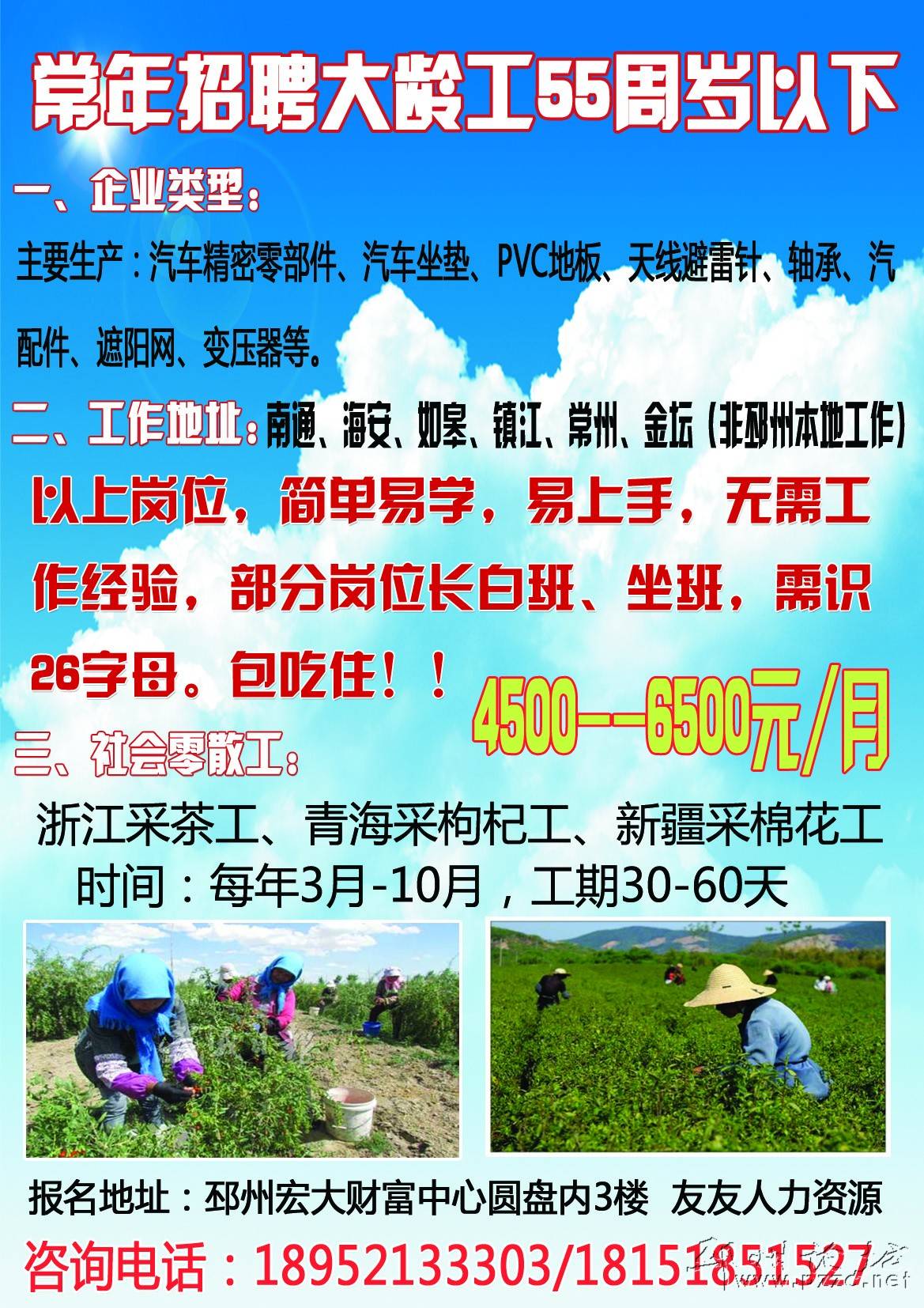 胶州招聘网最新动态深度解析