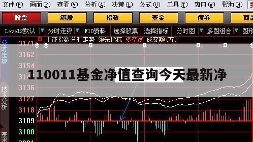 最新净值解析与查询指南，110030基金净值查询步骤