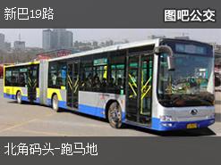 濮阳19路公交车最新路线详解及站点查询