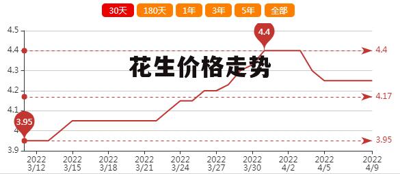 最新花生米行情分析与预测