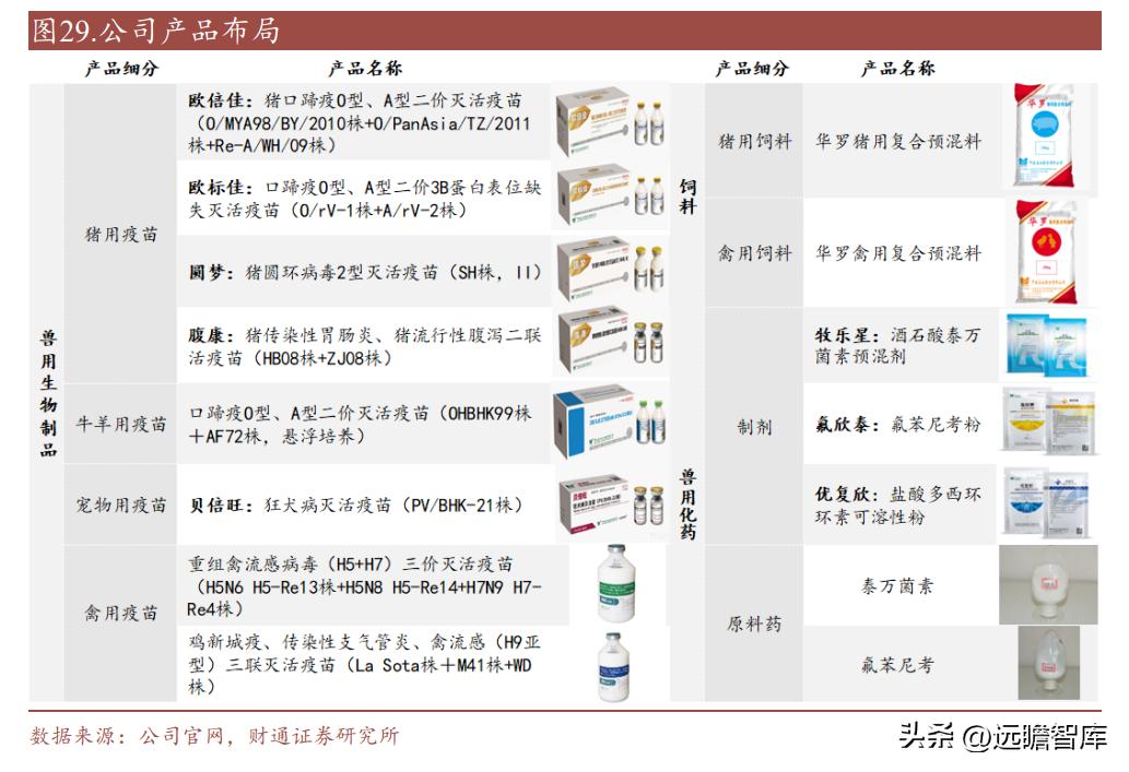 中牧股份股票最新动态全面解读