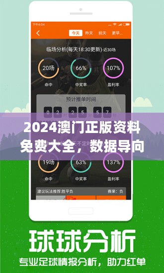 2024年澳门王中王,权威分析解释定义_旗舰版58.324