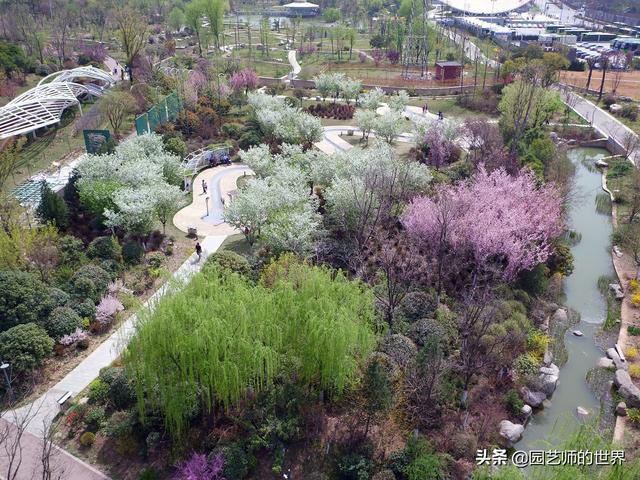 西安新植物园最新动态，进展、亮点与未来展望