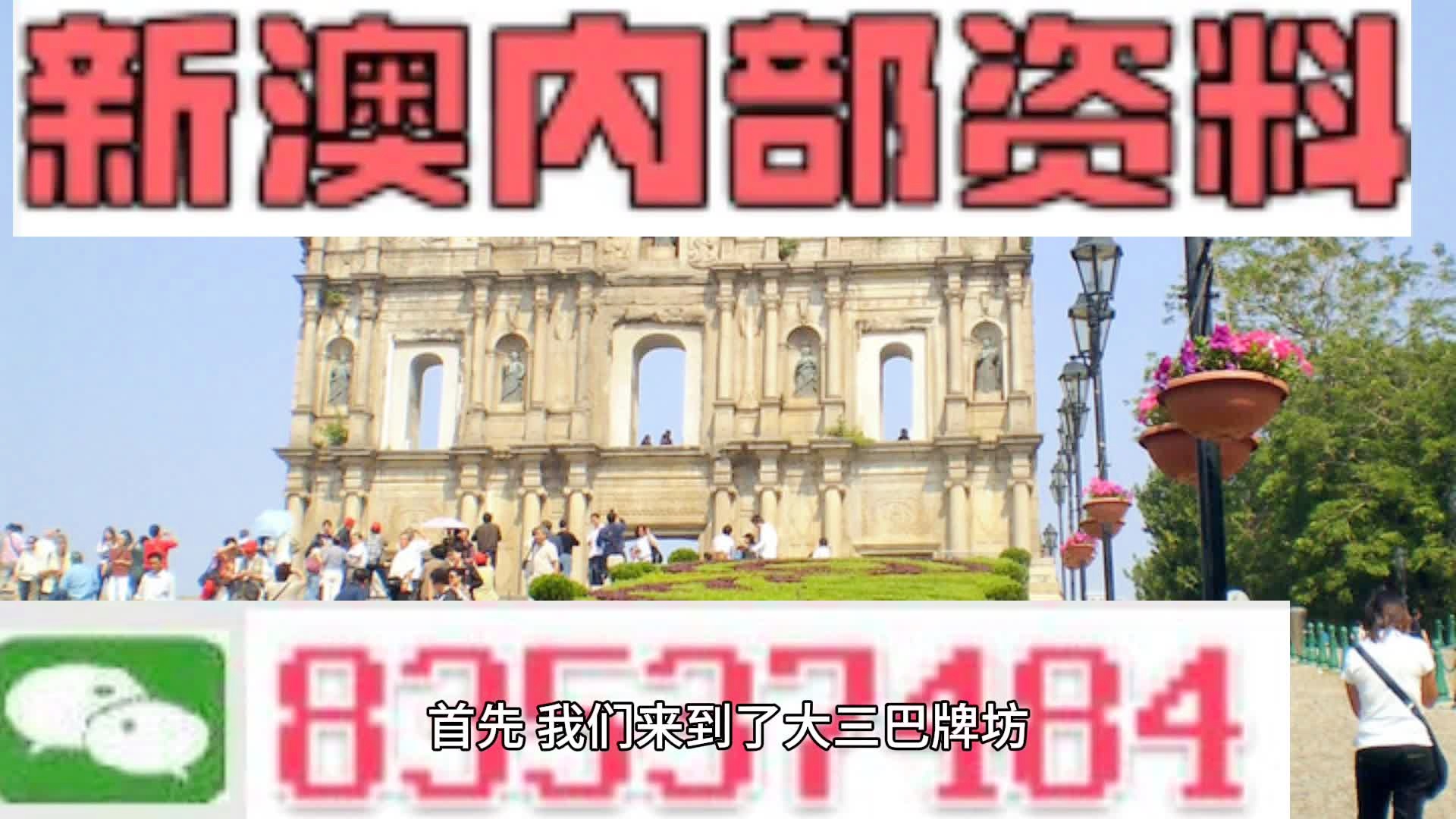 2024新澳门正版精准免费大全,动态解释词汇_粉丝版80.743