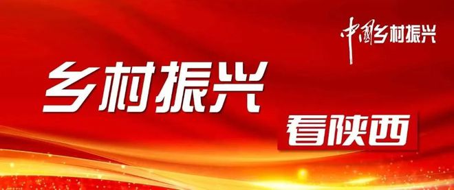 泾阳最新全面招聘信息汇总