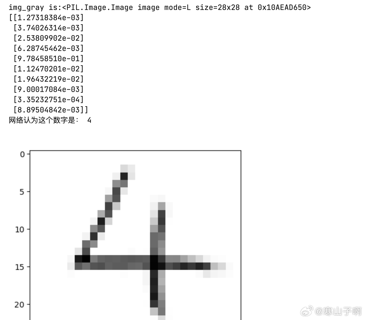 一肖一码一一肖一子,数据设计驱动策略_2D97.107