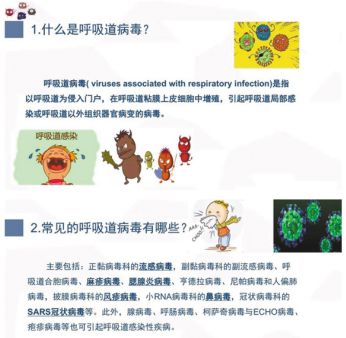 澳门一肖一码一一特一中,专家说明解析_完整版62.146