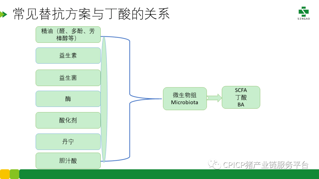 新奥门特免费资料大全1983年,仿真技术方案实现_QHD88.440