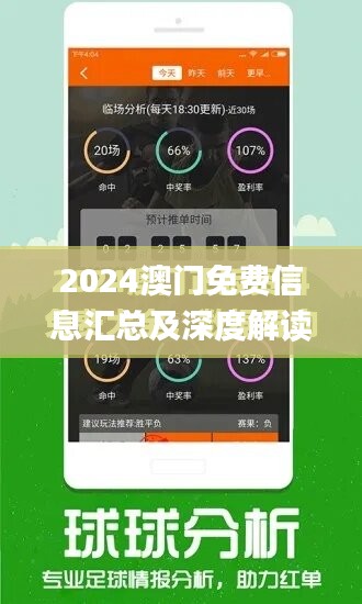 2024年澳门精准免费大全,专家观点说明_Notebook32.624