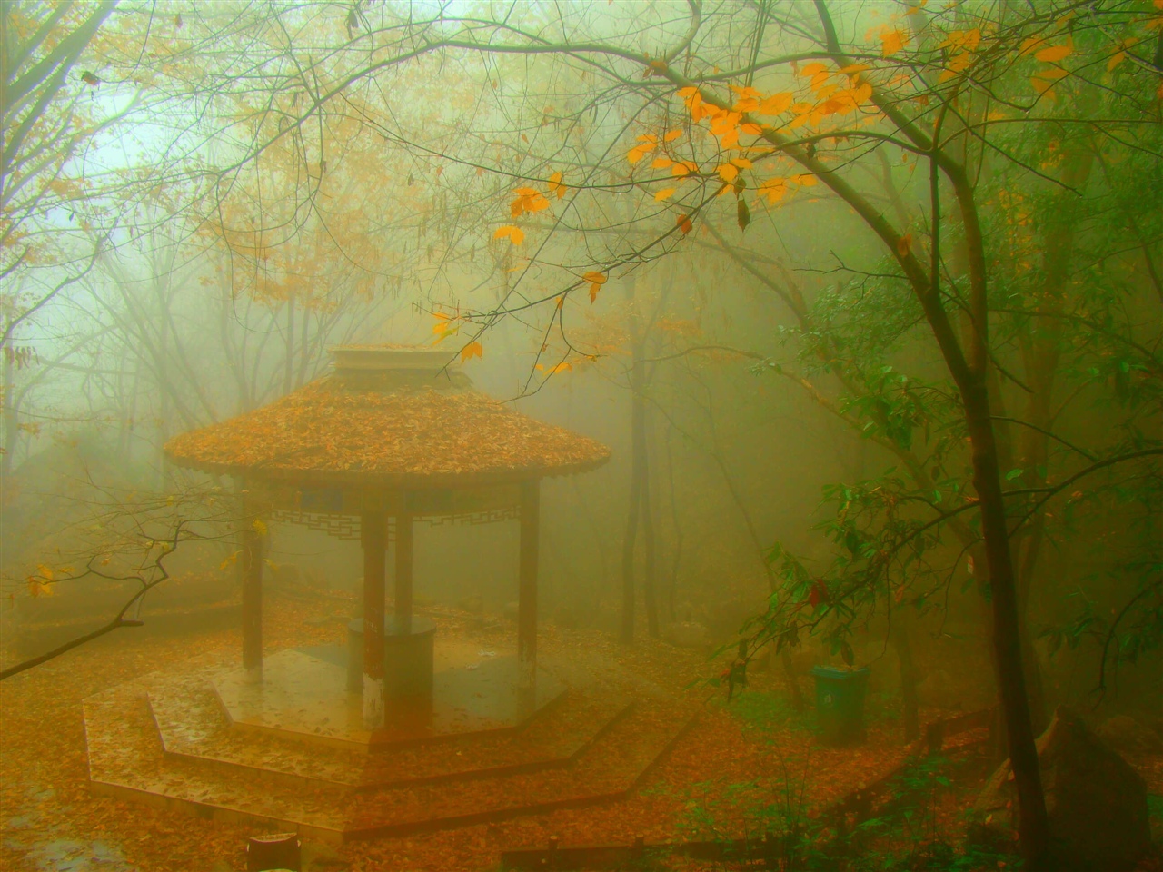 烟雨亭下载，古文化魅力与数字时代的交融探索