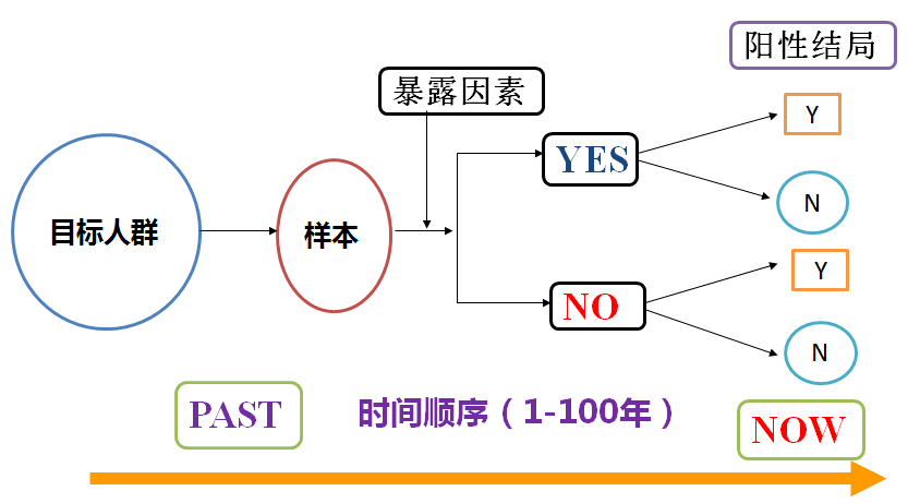 新澳2024最新资料大全,深度研究解析说明_mShop75.631