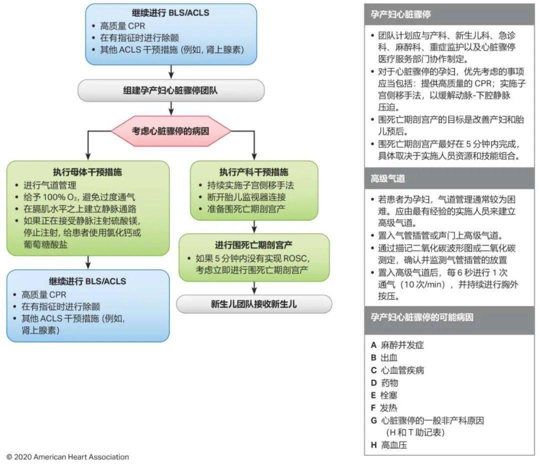 心肺复苏，最新实践指南与操作技巧全解析