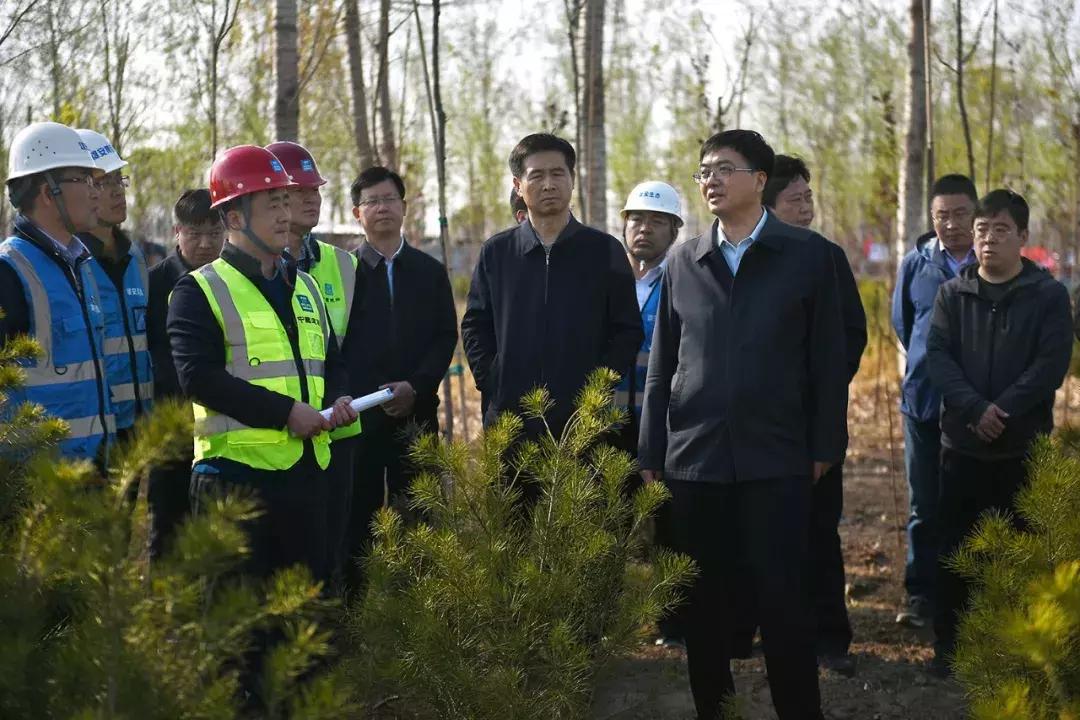 最新招聘会全景回顾与深度洞察