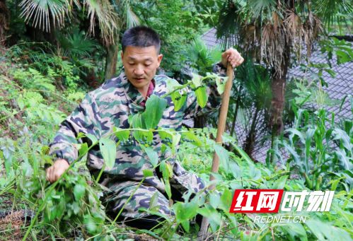 杜家坪乡领导最新阵容及领导风格概述