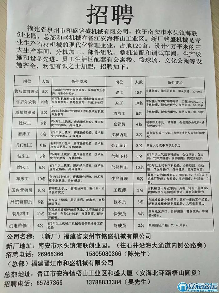 泉港招聘网最新招聘动态深度解析报告