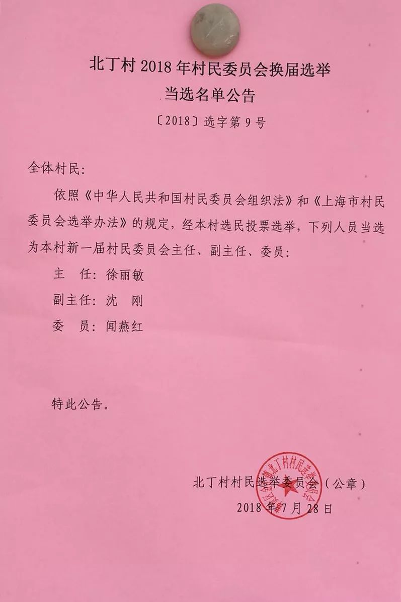 桦树村委会人事任命完成，村级治理迎来新篇章