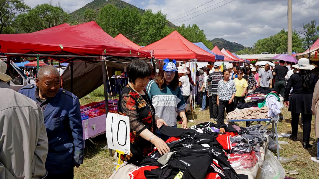 山西省五台县蒋坊乡乡村振兴项目启动，区域发展新篇章开启