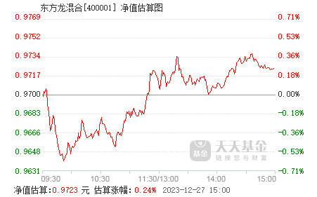 今日最新解析，450002基金净值查询报告