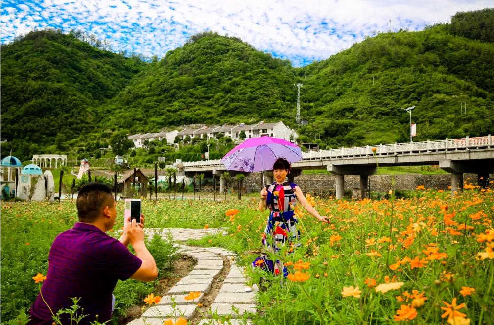 青龙山林场绿色发展新篇章，探索与实践