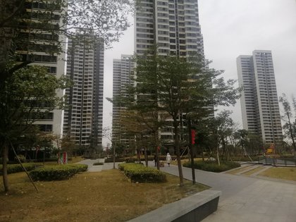 珠海最新房价动态及市场走势下的购房策略分析