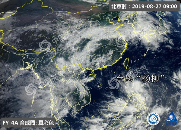 今年台风最新动态概览