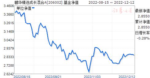 全面解析，今日最新净值查询与解读关于398021基金净值报告