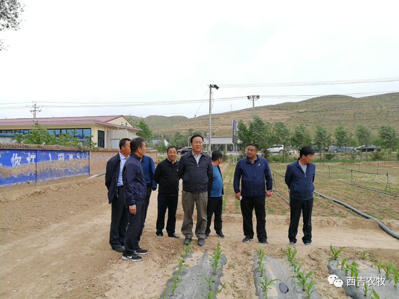 马莲村民委员会领导团队全新亮相，展望未来发展之路