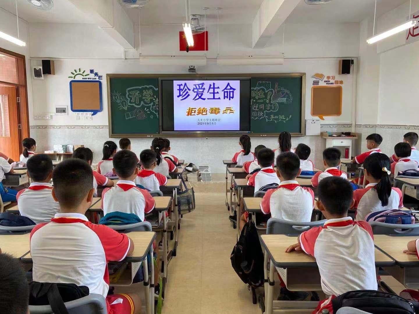 港口区小学最新动态报道