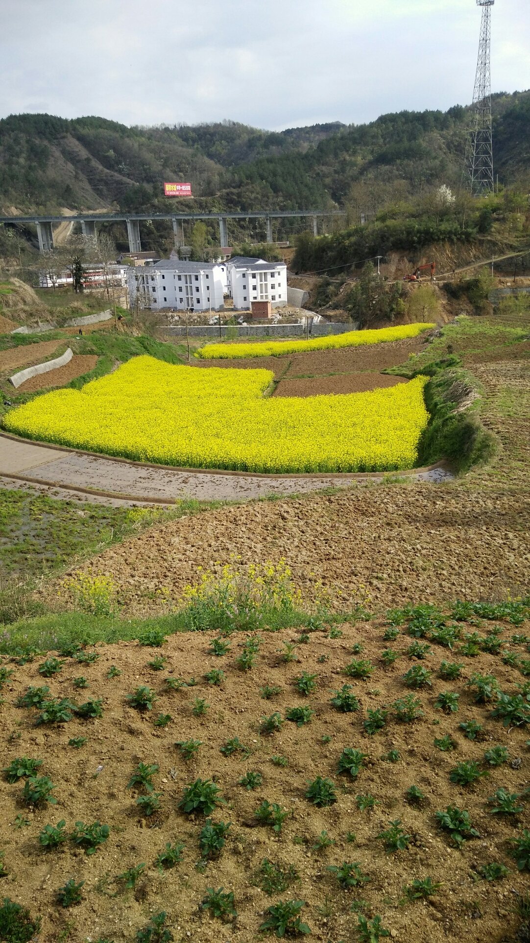 鹿西乡天气预报更新通知