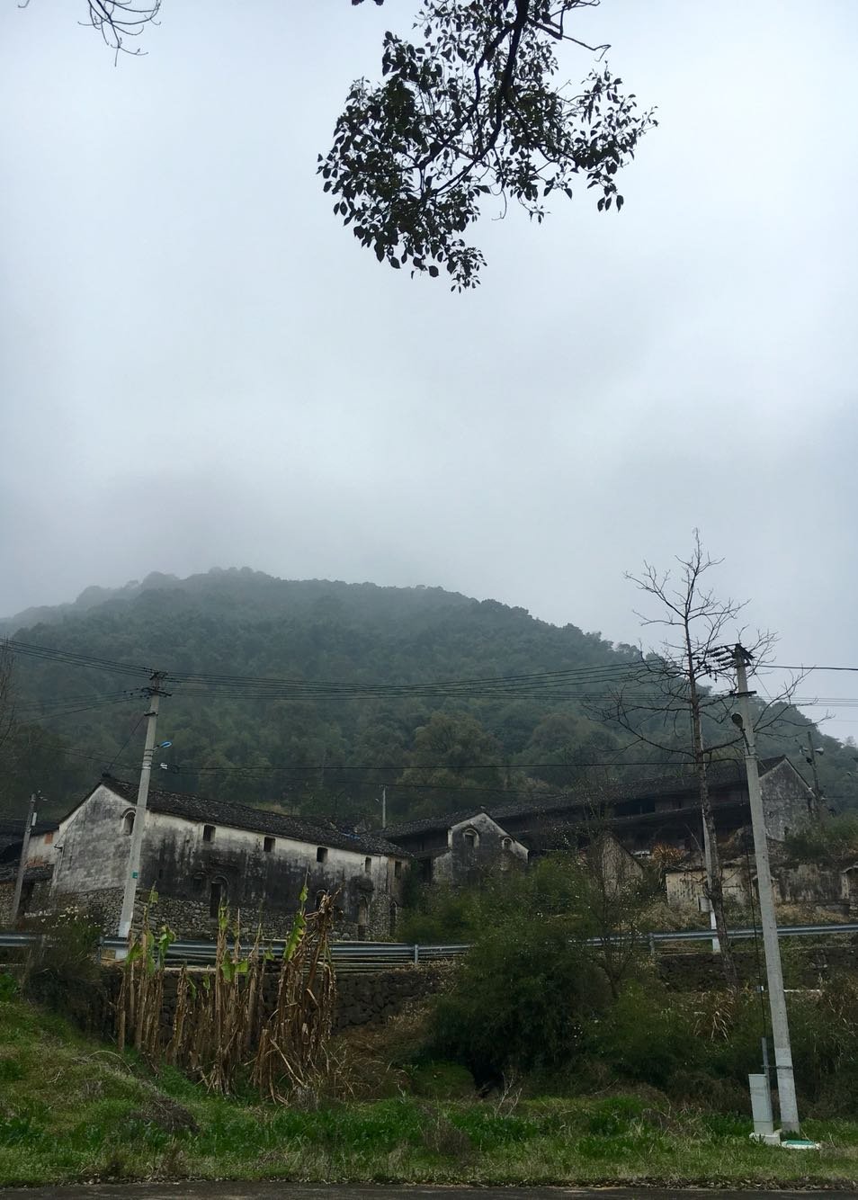 银山畈乡天气预报更新通知