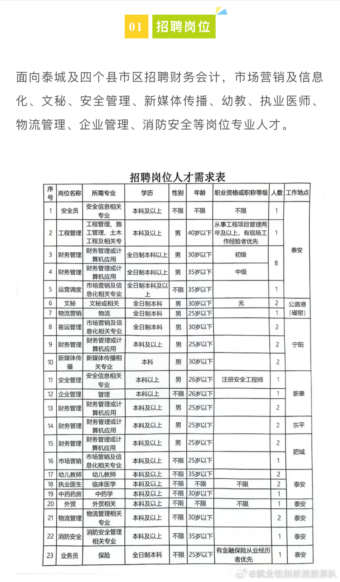 宛城区数据和政务服务局招聘公告详解