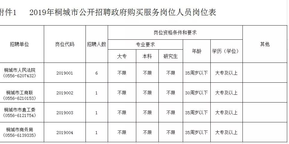 桐城市数据和政务服务局最新招聘公告详解