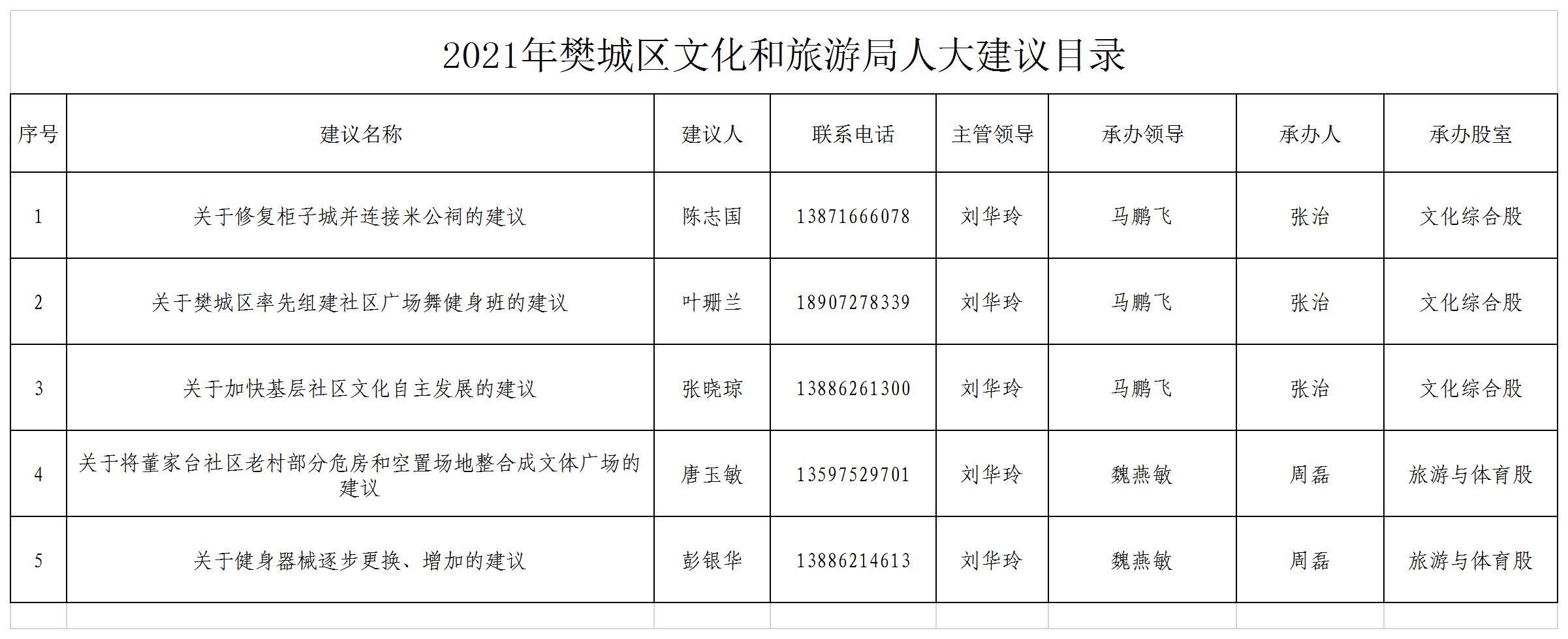 樊城区文化局发展规划展望，未来蓝图揭秘