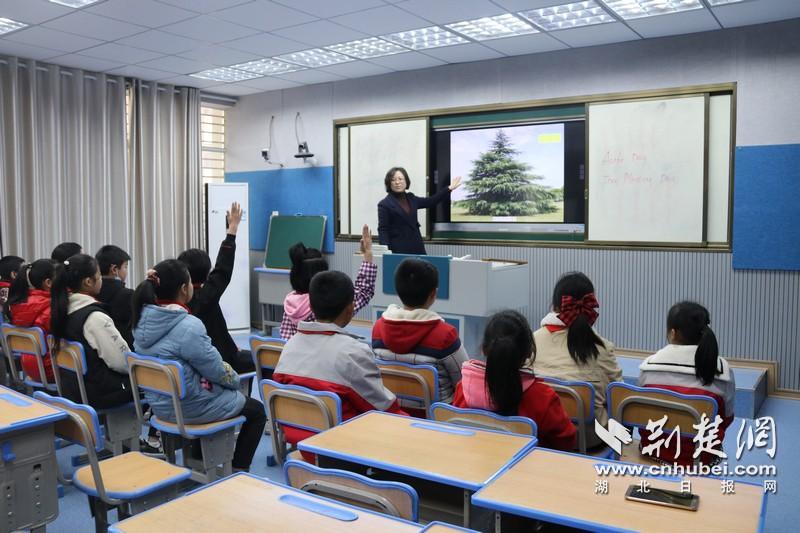 兴山县小学最新动态报道