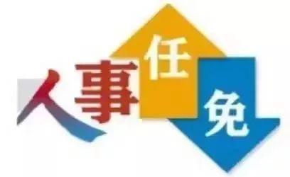 巴州区小学人事任命，塑造教育未来关键行动