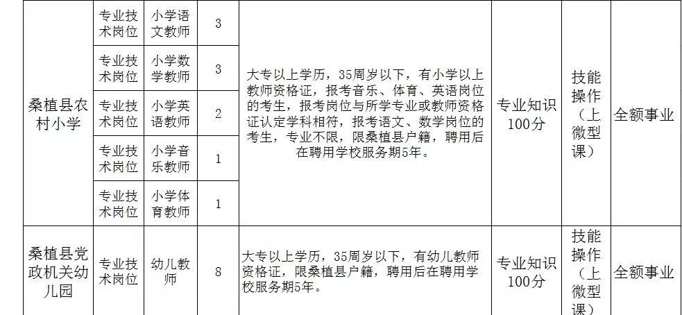 桑植县特殊教育事业单位招聘最新信息及解读