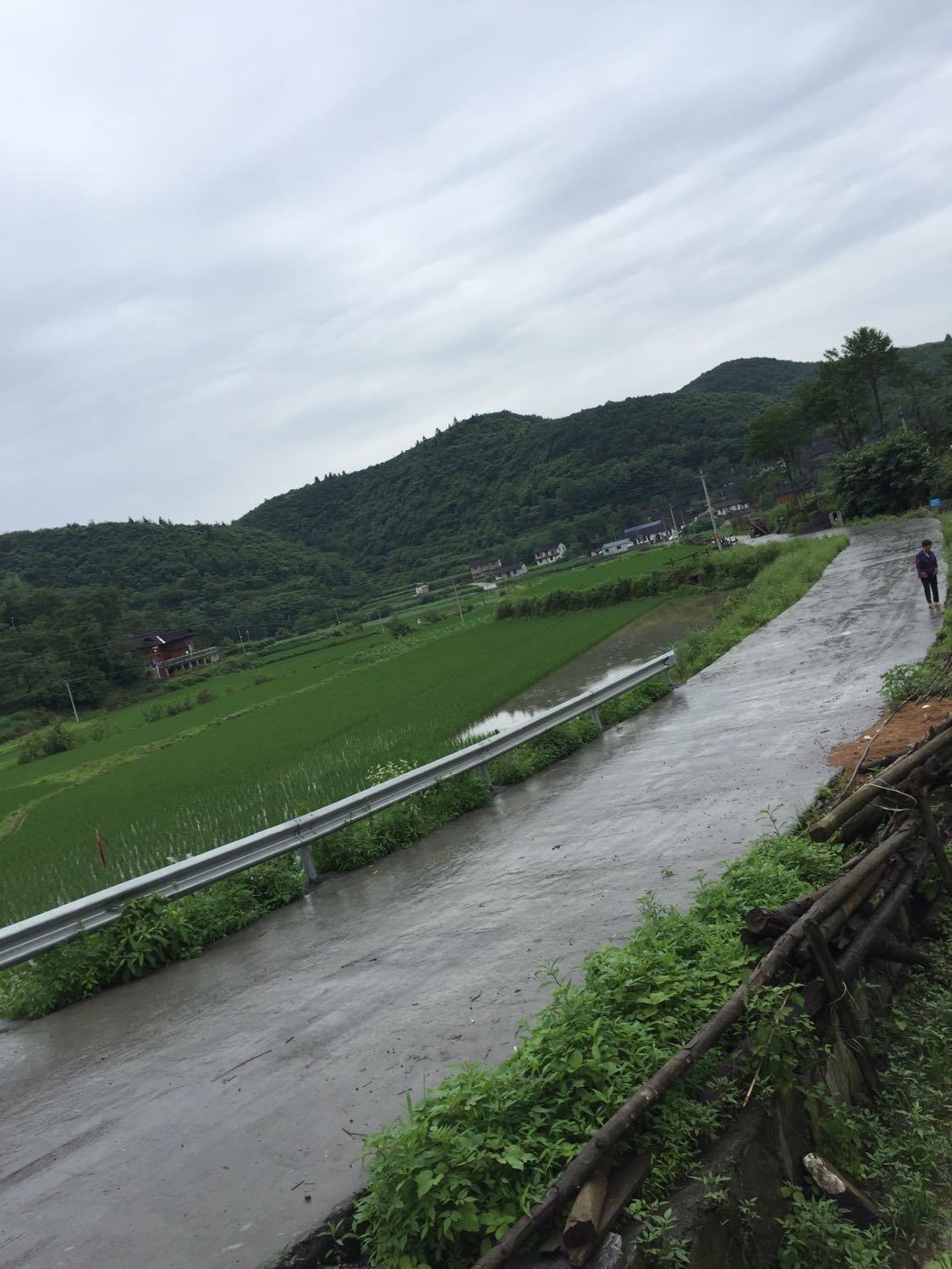 龙林乡天气预报更新通知